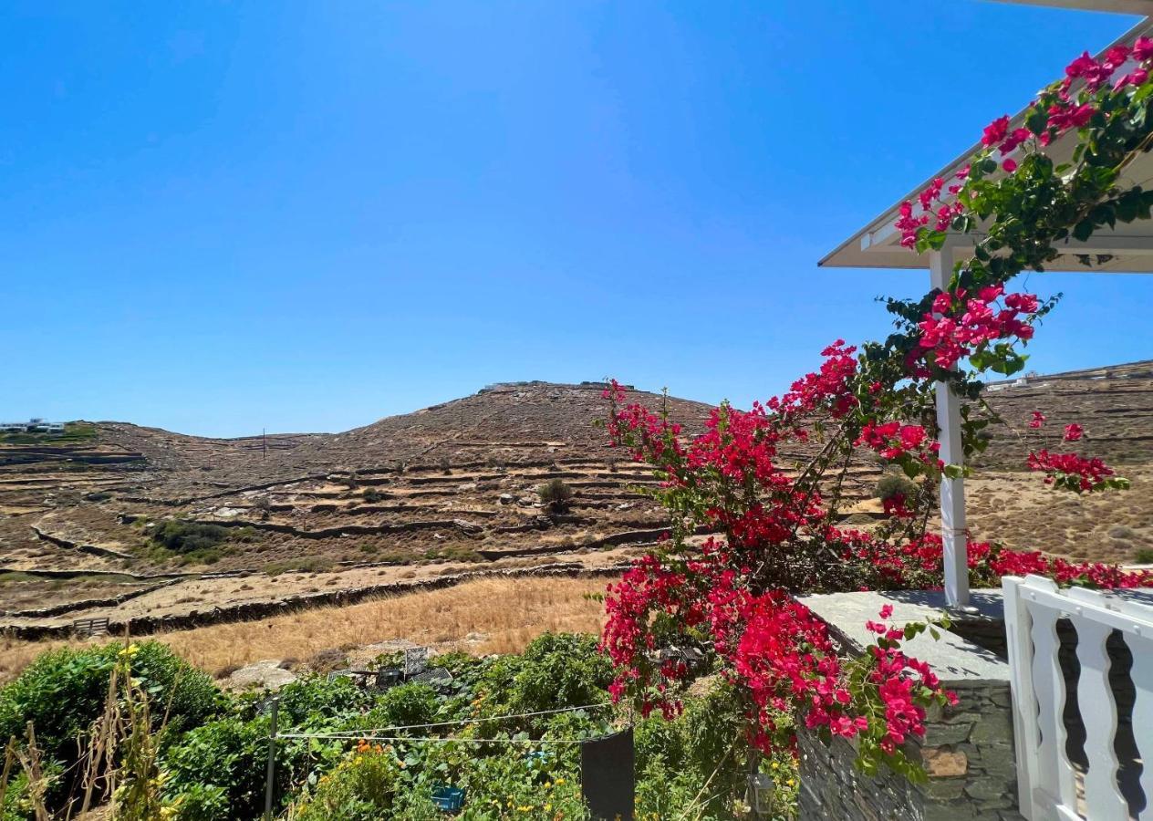 Lemon Houses - Faros, Sifnos Εξωτερικό φωτογραφία