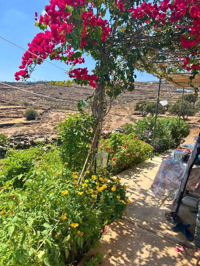 Lemon Houses - Faros, Sifnos Εξωτερικό φωτογραφία